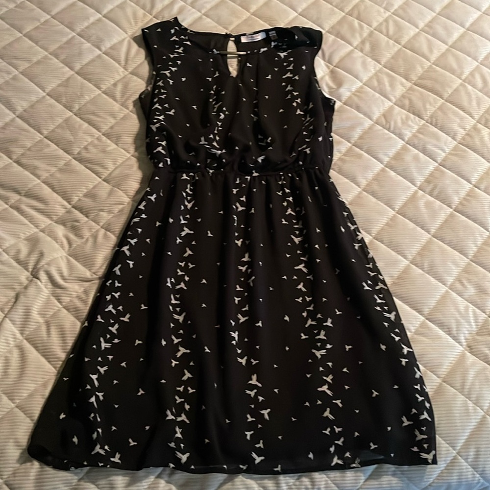 Black office dress